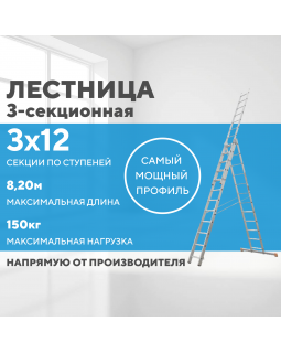 Лестница алюминиевая 3х12 (8,20м)