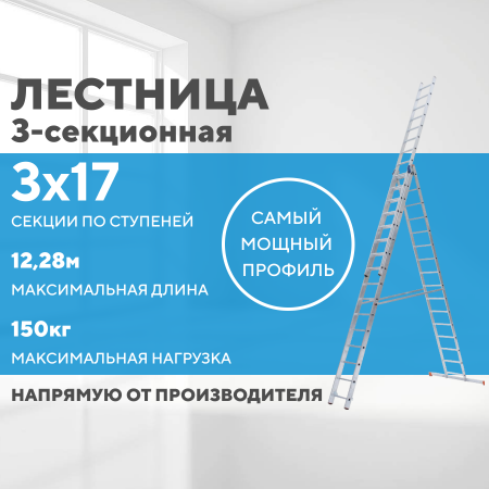 Лестница алюминиевая 3х17 (12,28м)